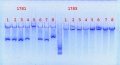 Thumbnail for version as of 13:38, 19 July 2013