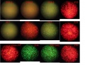 Thumbnail for version as of 08:30, 27 September 2011