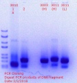 Thumbnail for version as of 18:53, 2 February 2018