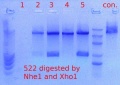 Thumbnail for version as of 11:33, 24 January 2012