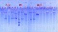Thumbnail for version as of 12:42, 24 June 2013