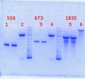 Thumbnail for version as of 09:49, 23 September 2013