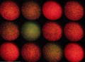 Thumbnail for version as of 14:53, 16 November 2011