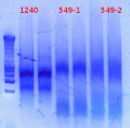 Thumbnail for version as of 11:28, 14 December 2012