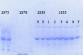 Thumbnail for version as of 16:46, 28 July 2014