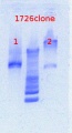 Thumbnail for version as of 11:34, 8 April 2013