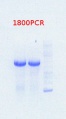 Thumbnail for version as of 09:14, 26 July 2013