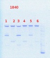 Thumbnail for version as of 11:31, 6 September 2013