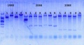 Thumbnail for version as of 18:04, 6 March 2014