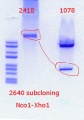 Thumbnail for version as of 17:49, 23 October 2019