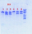 Thumbnail for version as of 15:19, 28 February 2014