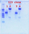 Thumbnail for version as of 13:11, 14 March 2012