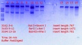 Thumbnail for version as of 14:42, 6 March 2018