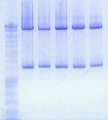 Thumbnail for version as of 14:07, 10 February 2011