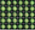 Thumbnail for version as of 12:43, 14 May 2016