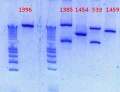 Thumbnail for version as of 16:13, 27 November 2012
