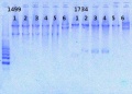 Thumbnail for version as of 13:20, 17 May 2013