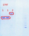 Thumbnail for version as of 11:16, 24 July 2013