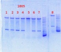 Thumbnail for version as of 11:49, 14 August 2013