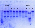 Thumbnail for version as of 17:20, 18 December 2013
