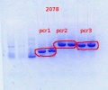 Thumbnail for version as of 17:19, 7 March 2014