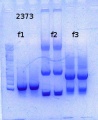Thumbnail for version as of 13:34, 3 November 2014