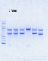 Thumbnail for version as of 14:07, 26 December 2014