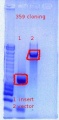Thumbnail for version as of 14:18, 27 October 2011