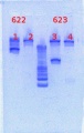 Thumbnail for version as of 09:07, 19 March 2013