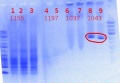 Thumbnail for version as of 10:34, 7 June 2012