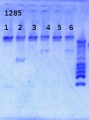 Thumbnail for version as of 09:42, 1 April 2013