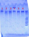 Thumbnail for version as of 16:03, 20 August 2012