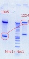 Thumbnail for version as of 19:39, 29 August 2012