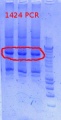 Thumbnail for version as of 10:40, 4 December 2012