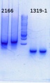 Thumbnail for version as of 14:13, 8 August 2014