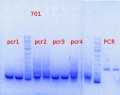 Thumbnail for version as of 11:48, 21 October 2013