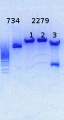 Thumbnail for version as of 16:12, 28 July 2014