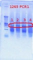 Thumbnail for version as of 09:51, 31 July 2012