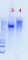 Thumbnail for version as of 12:35, 27 June 2013