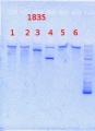 Thumbnail for version as of 09:49, 23 September 2013