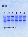 Thumbnail for version as of 17:33, 6 March 2014