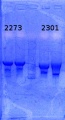 Thumbnail for version as of 12:28, 22 August 2014