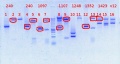 Thumbnail for version as of 13:10, 15 October 2012
