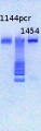 Thumbnail for version as of 12:49, 1 April 2013