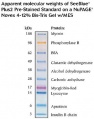 Thumbnail for version as of 11:14, 13 June 2014