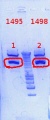 Thumbnail for version as of 15:35, 12 December 2012