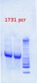 Thumbnail for version as of 14:49, 3 May 2013