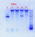 Thumbnail for version as of 16:35, 14 August 2013