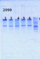 Thumbnail for version as of 14:22, 12 June 2014