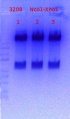 Thumbnail for version as of 16:19, 21 June 2018